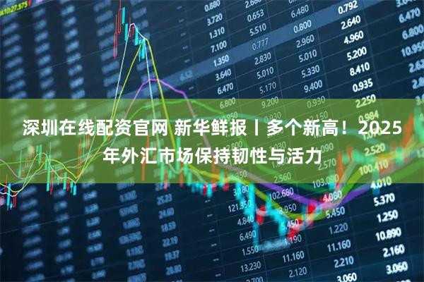 深圳在线配资官网 新华鲜报丨多个新高！2025年外汇市场保持韧性与活力